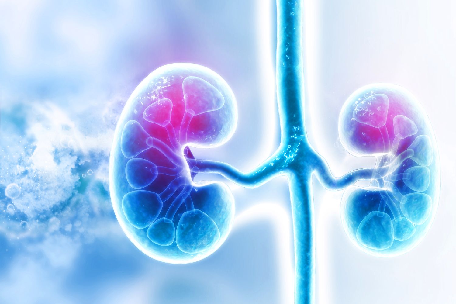 Chronic Kidney Disease Detection